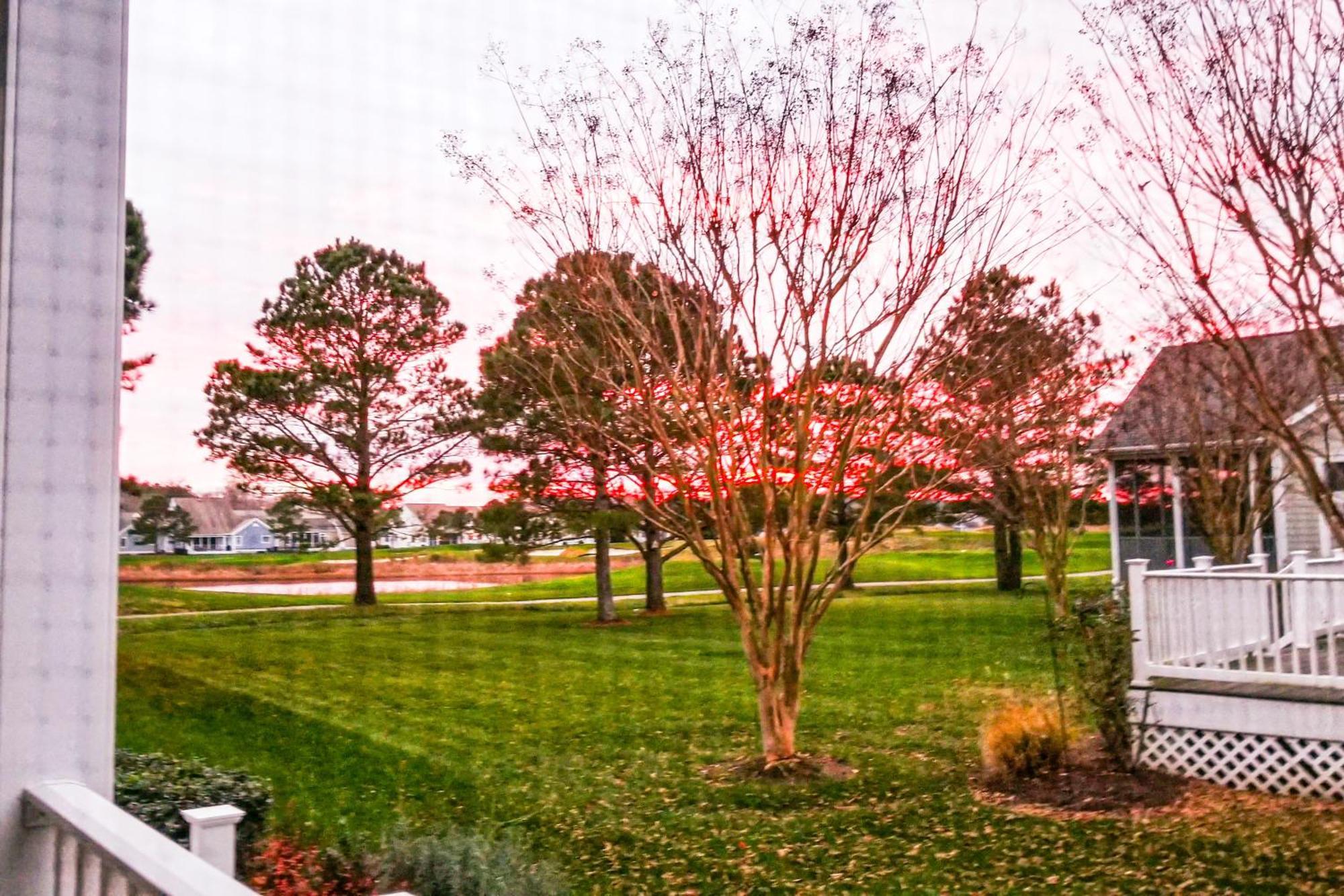 Bear Trap Dunes - Willow Oak Ocean View Phòng bức ảnh